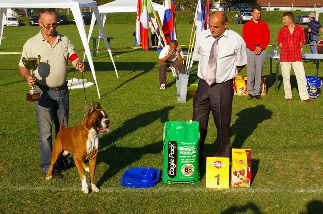 www.boxer-show.eu